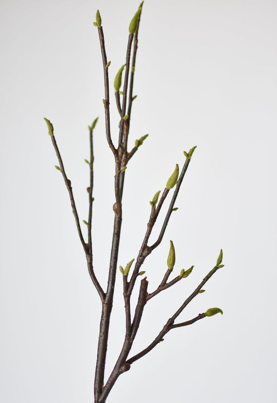 Magnolia Tree Branch, 36", Real Touch