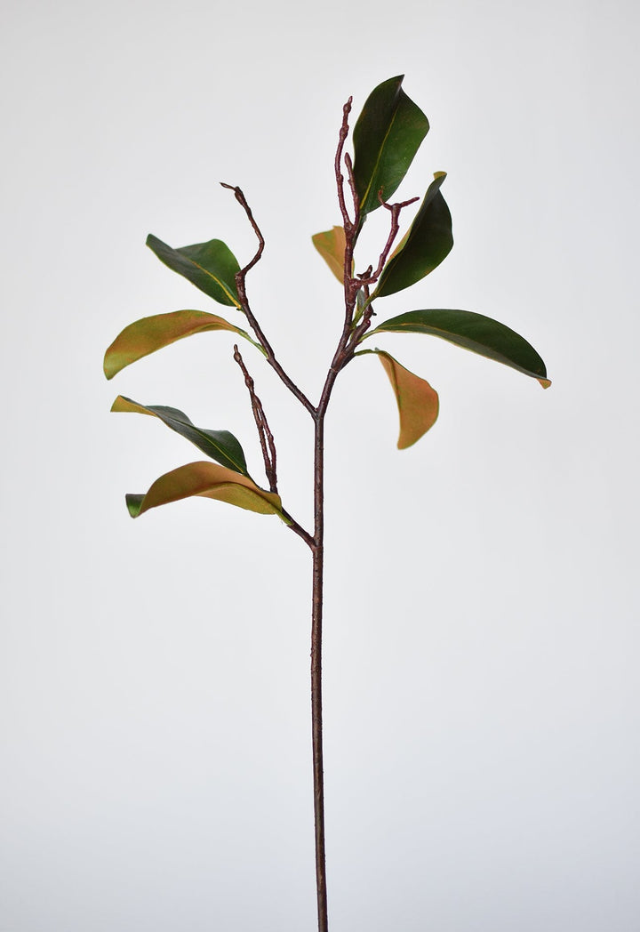 Magnolia Leaf Branch, 26"