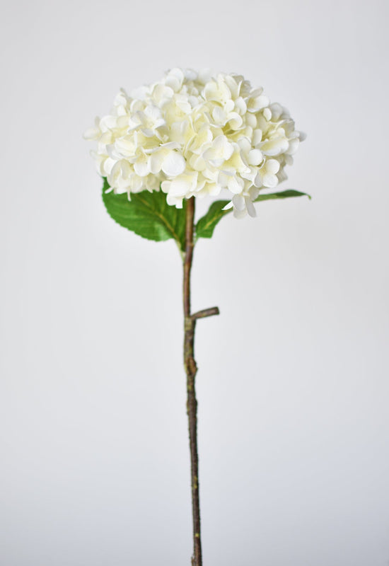 Hydrangea Stem, 26", White