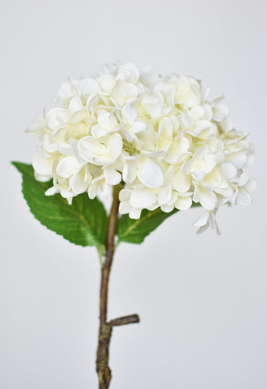 Hydrangea Stem, 26", White