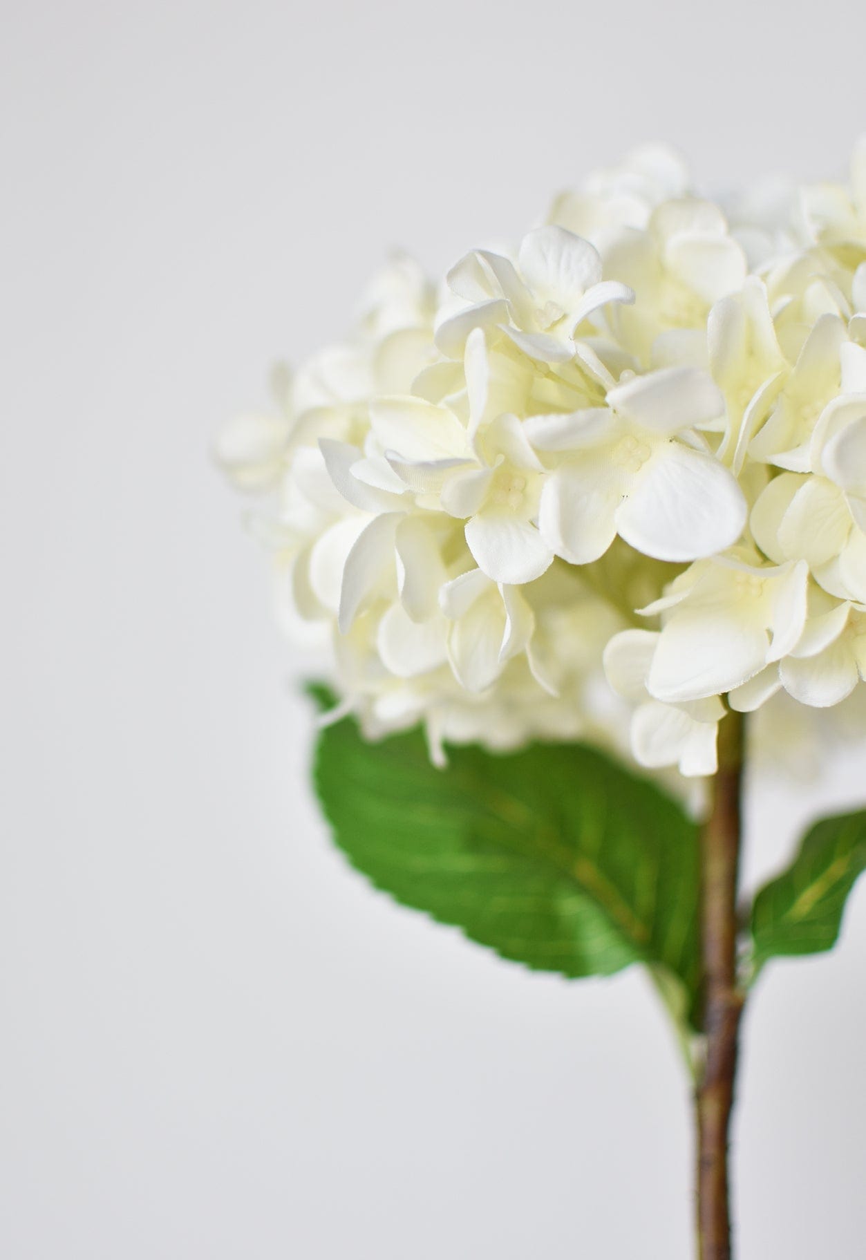 Hydrangea Stem, 26", White