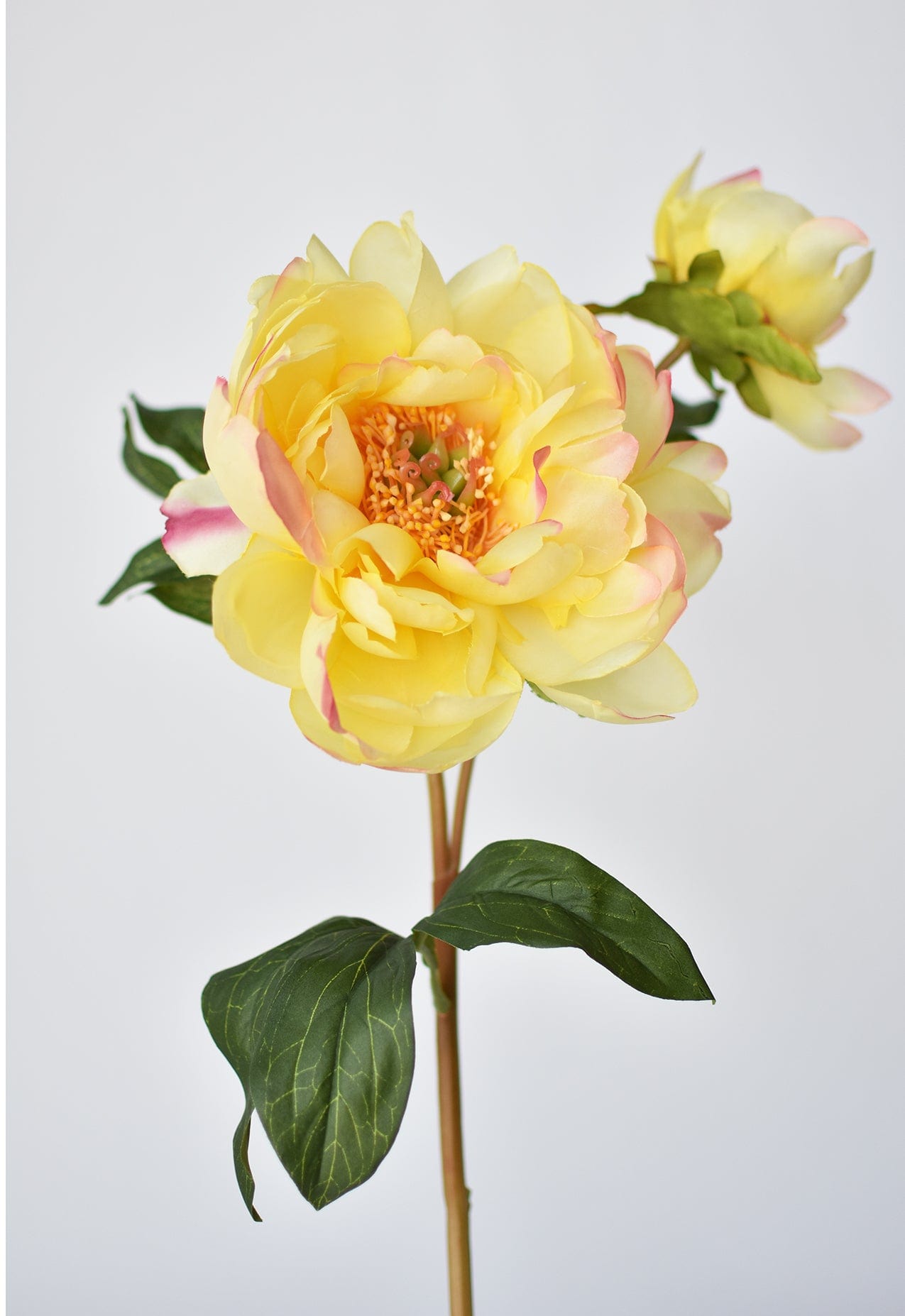 Peony Stem with Bud, 22.5", Yellow