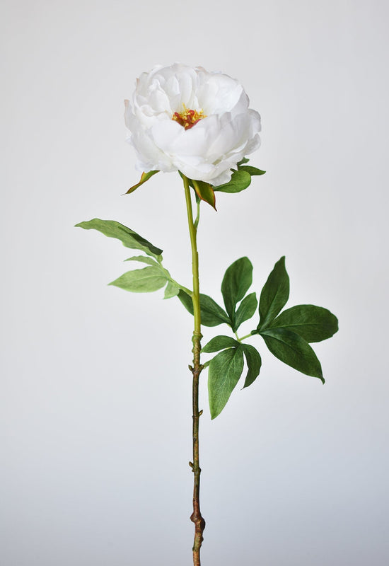 Peony Stem, 22", White