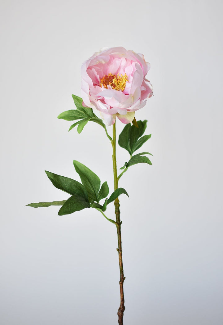 Peony Stem, 22", Pink