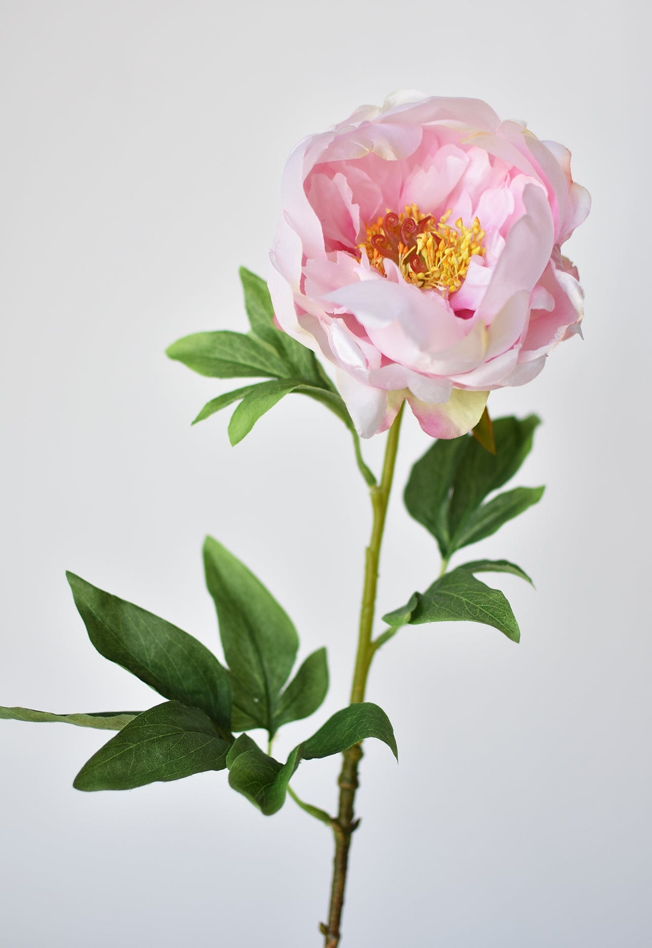 Peony Stem, 22", Pink