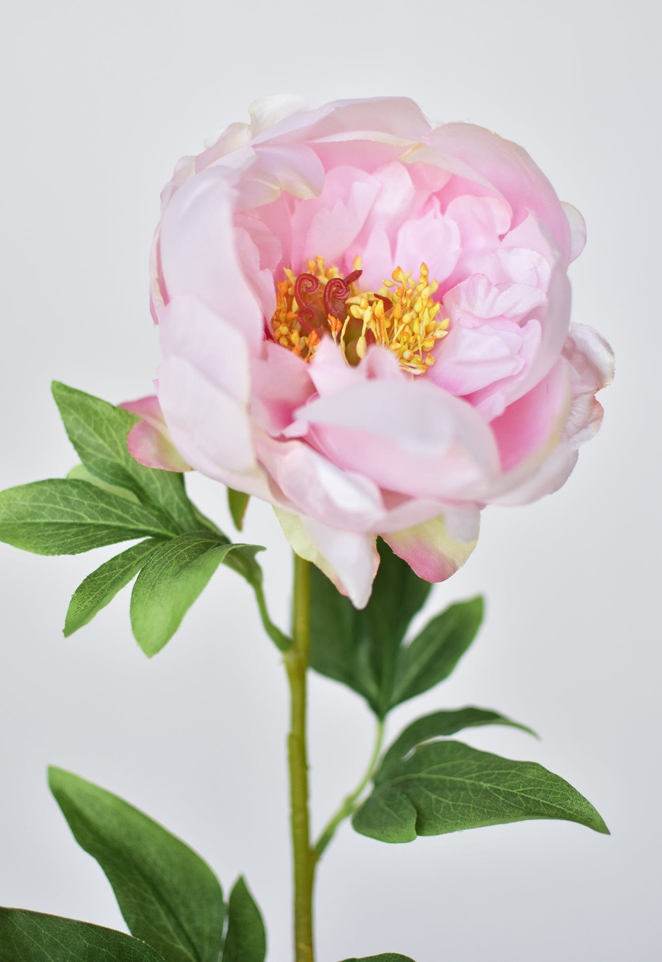 Peony Stem, 22", Pink