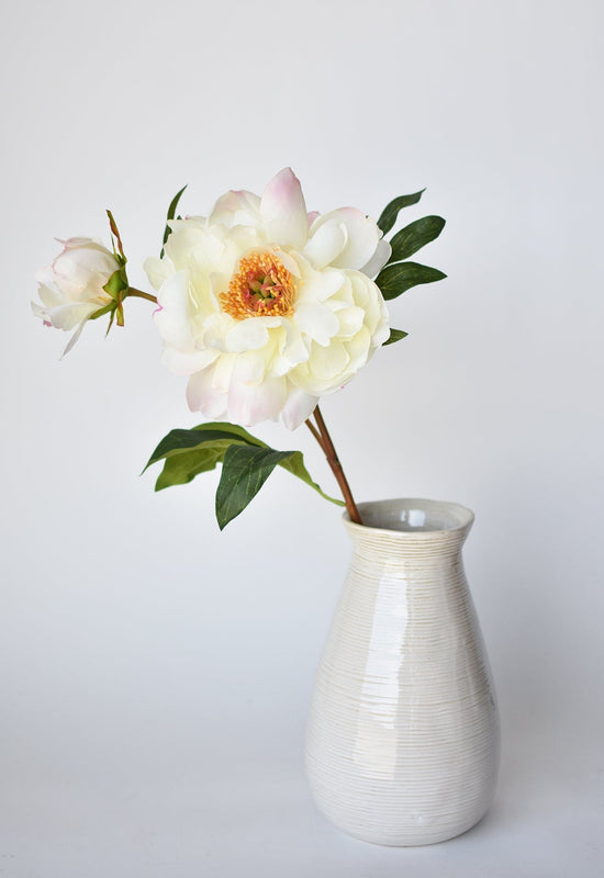 Peony Stem with Bud, 22.5”, Cream