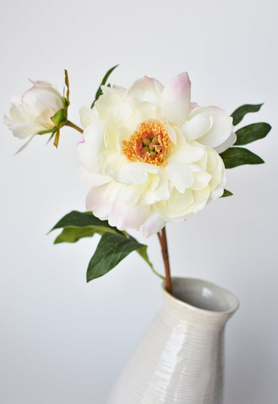 Peony Stem with Bud, 22.5”, Cream