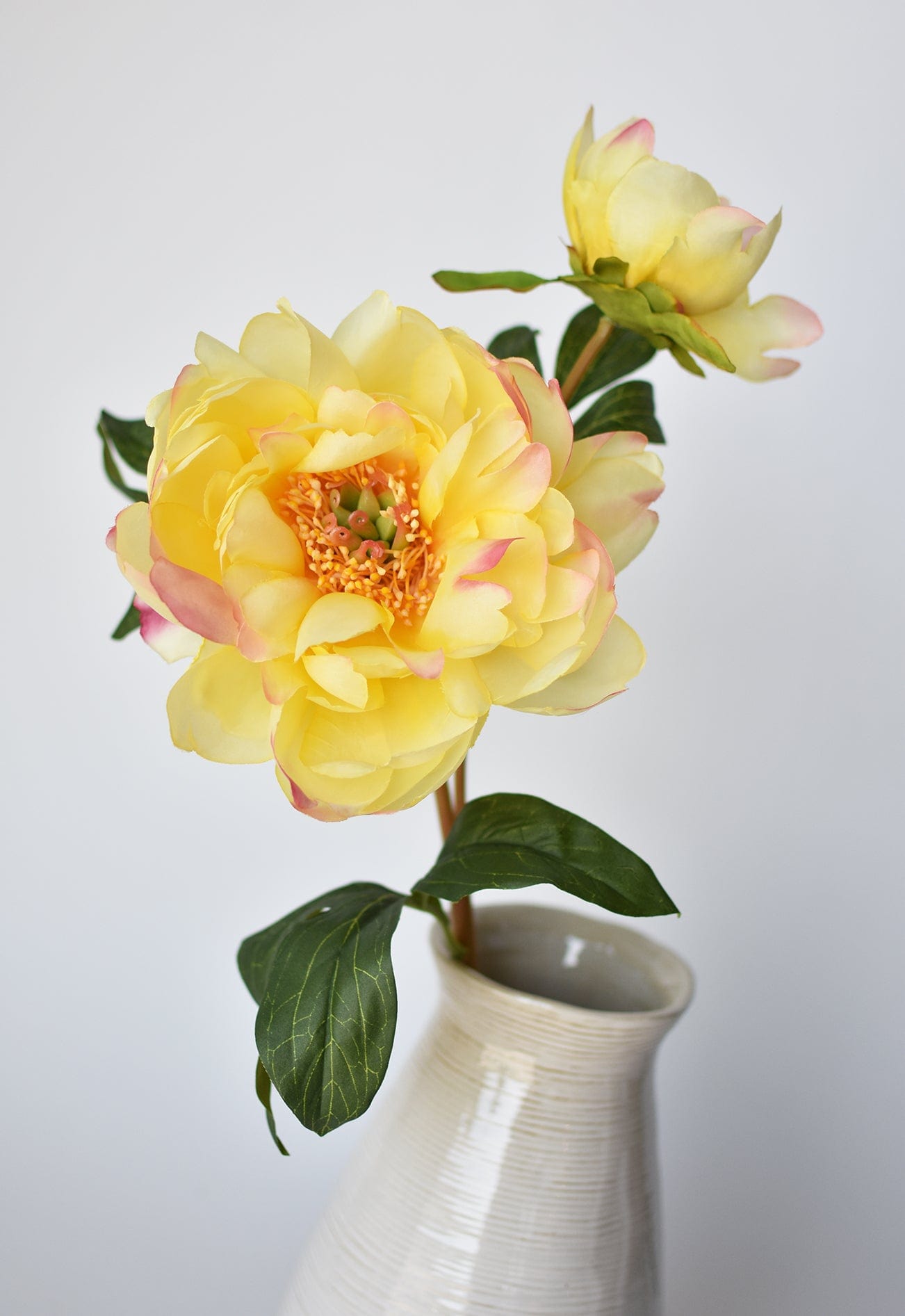 Peony Stem with Bud, 22.5", Yellow