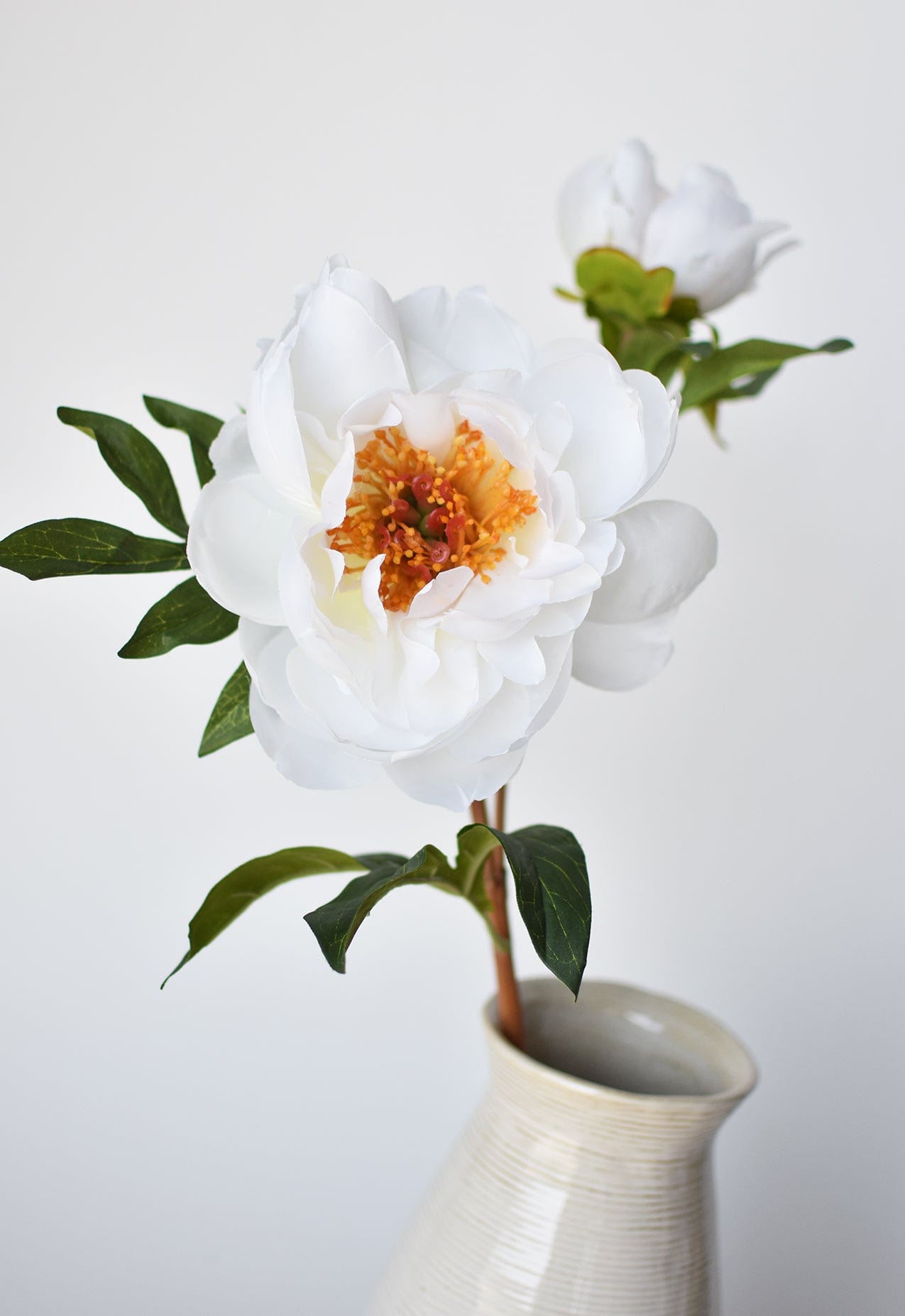 Peony Stem with Bud, 22.5", White