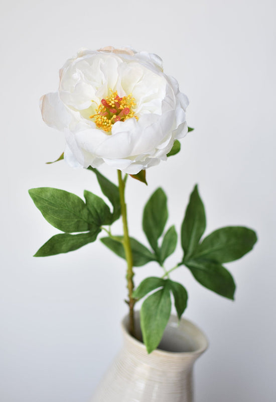 Peony Stem, 22", White