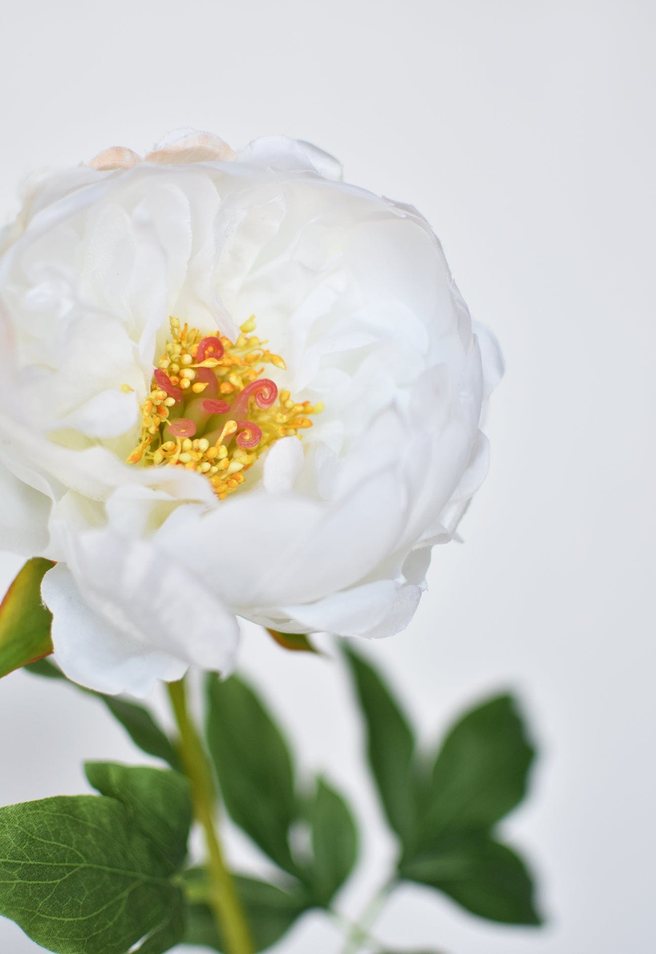 Peony Stem, 22", White