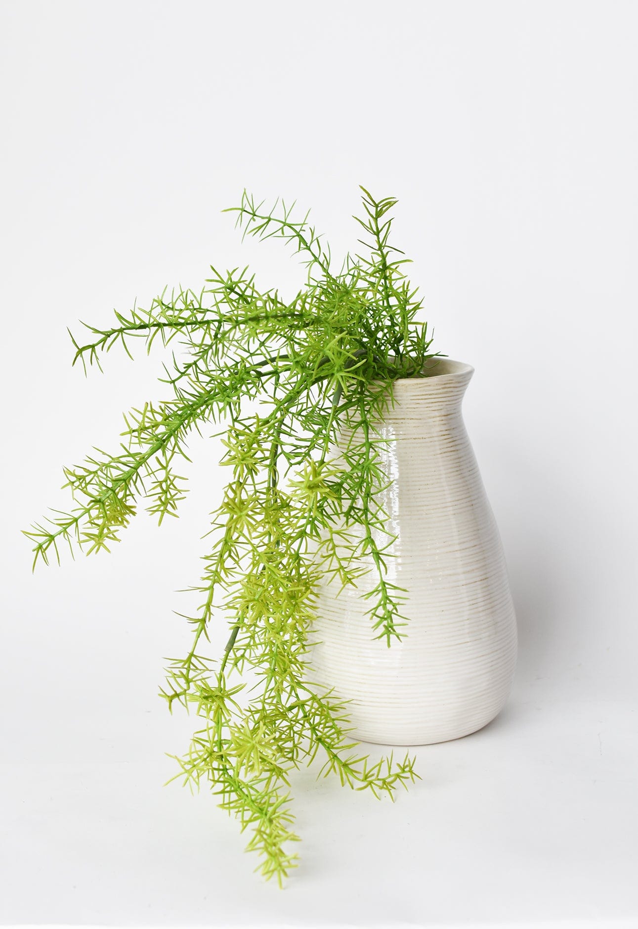 Soft Sprengeri Asparagus Fern Bush, 26"