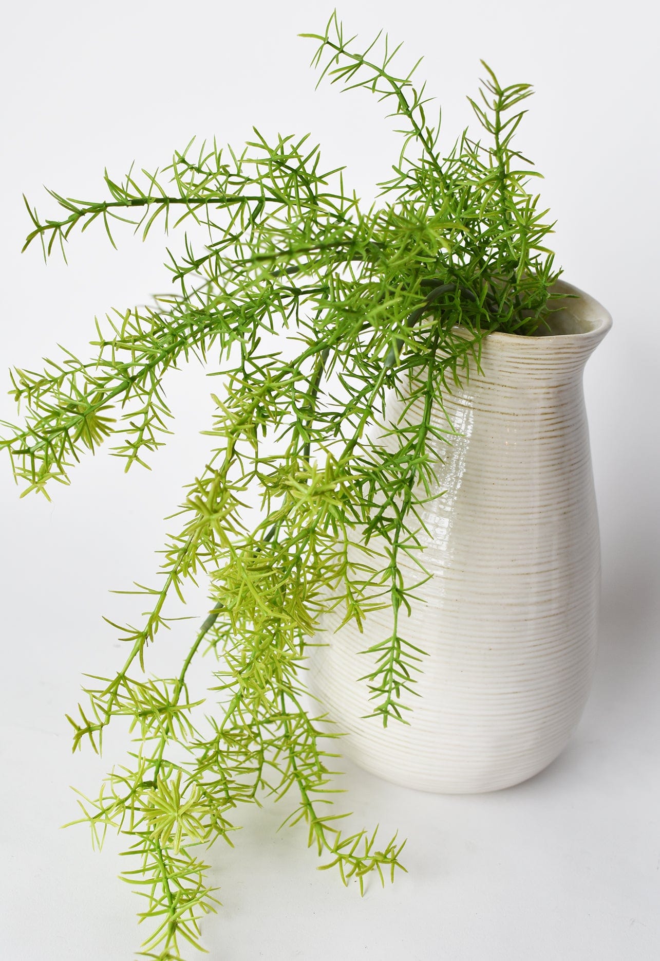 Soft Sprengeri Asparagus Fern Bush, 26"