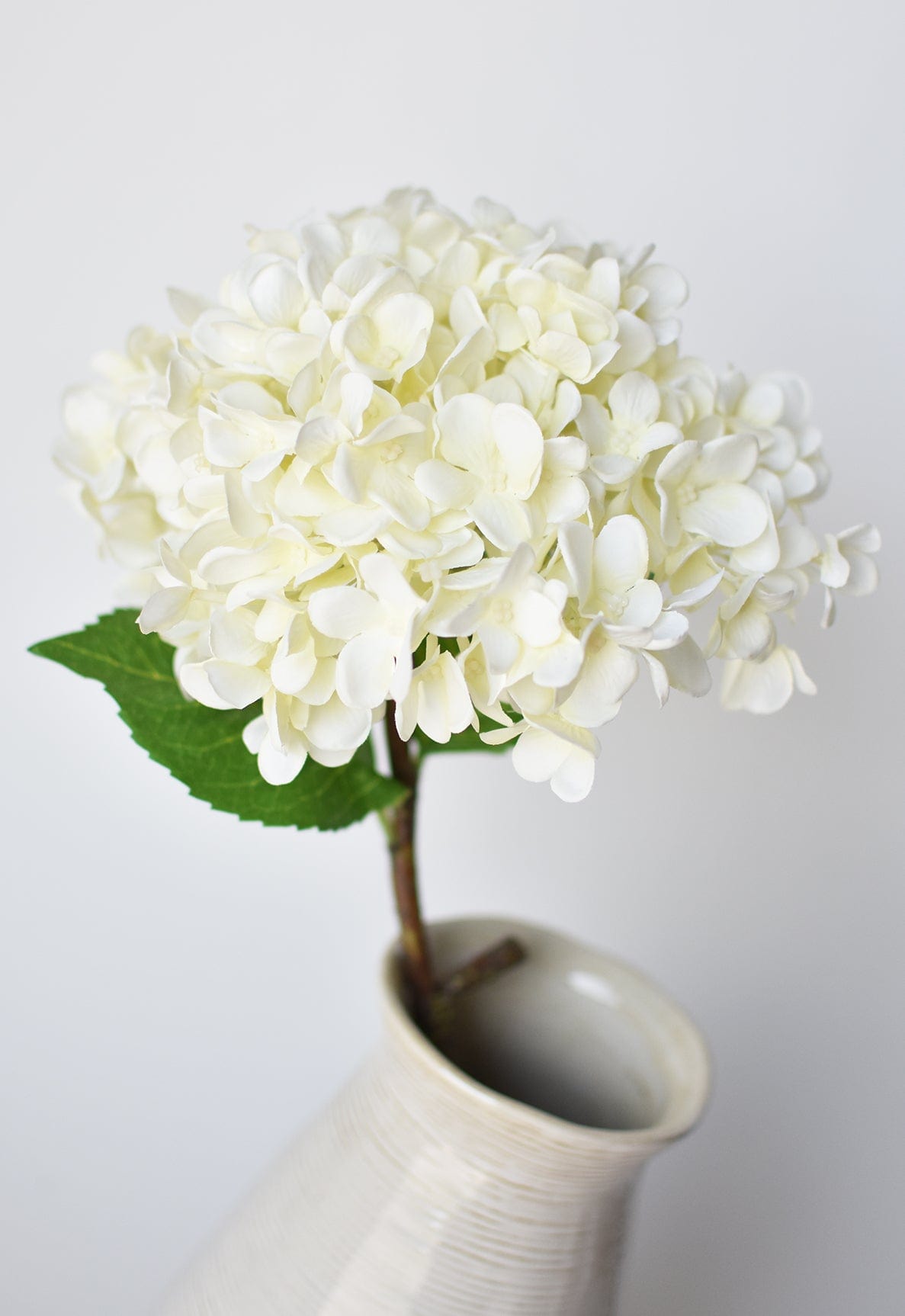 Hydrangea Stem, 26", White