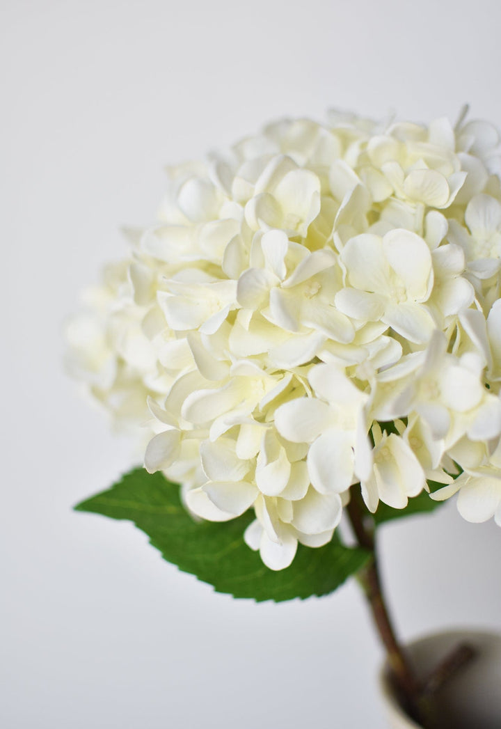 Hydrangea Stem, 26", White