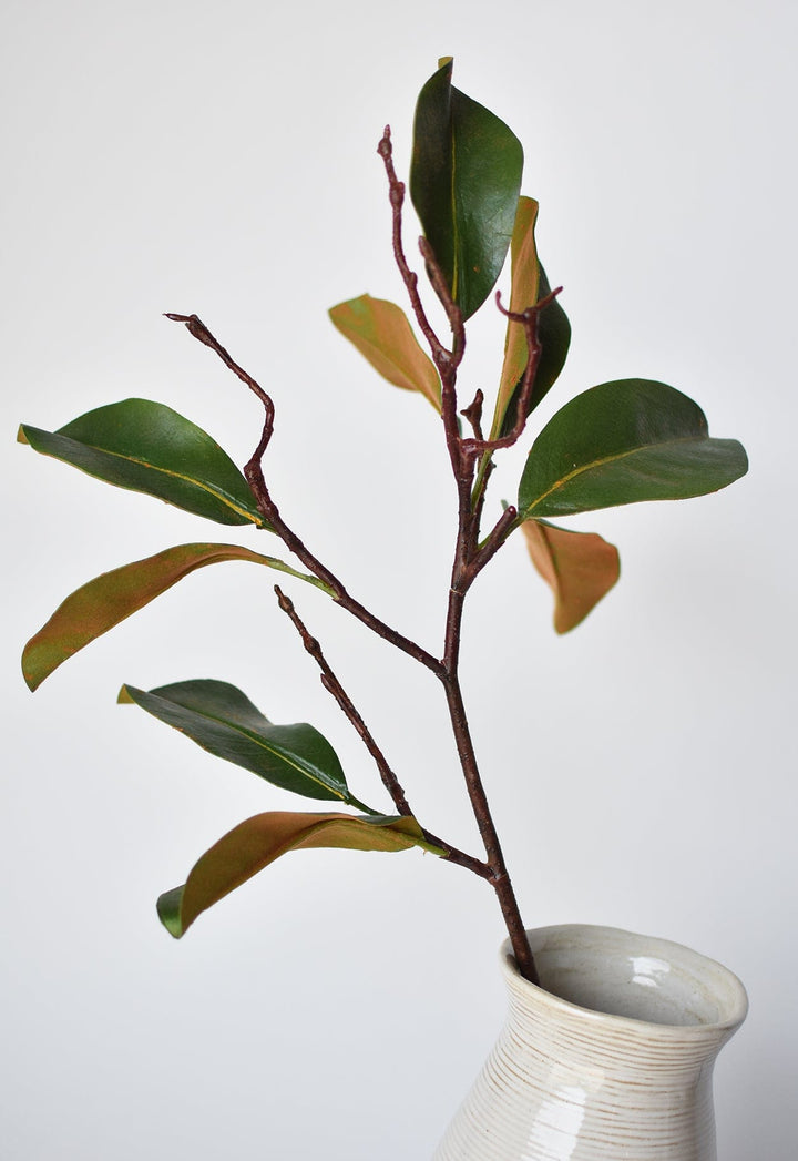 Magnolia Leaf Branch, 26"