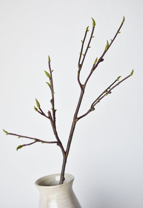 Magnolia Tree Branch, 36", Real Touch