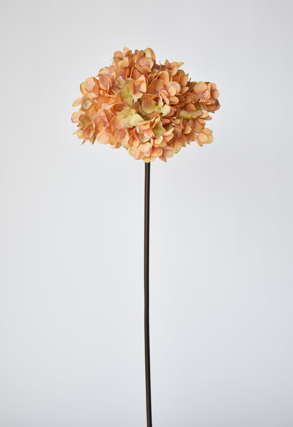 Hydrangea Stem, 27", Terracotta Orange