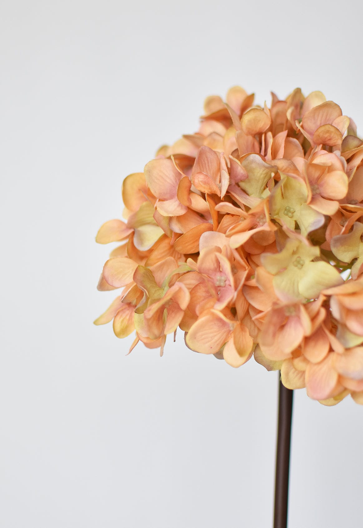 Hydrangea Stem, 27", Terracotta Orange