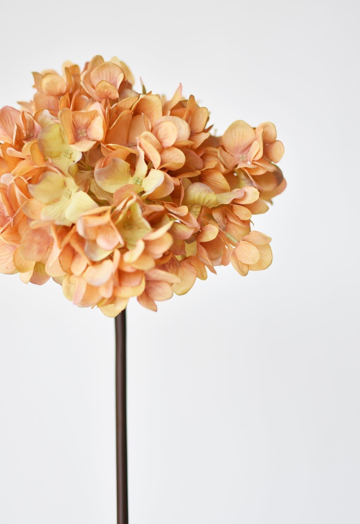 Hydrangea Stem, 27", Terracotta Orange