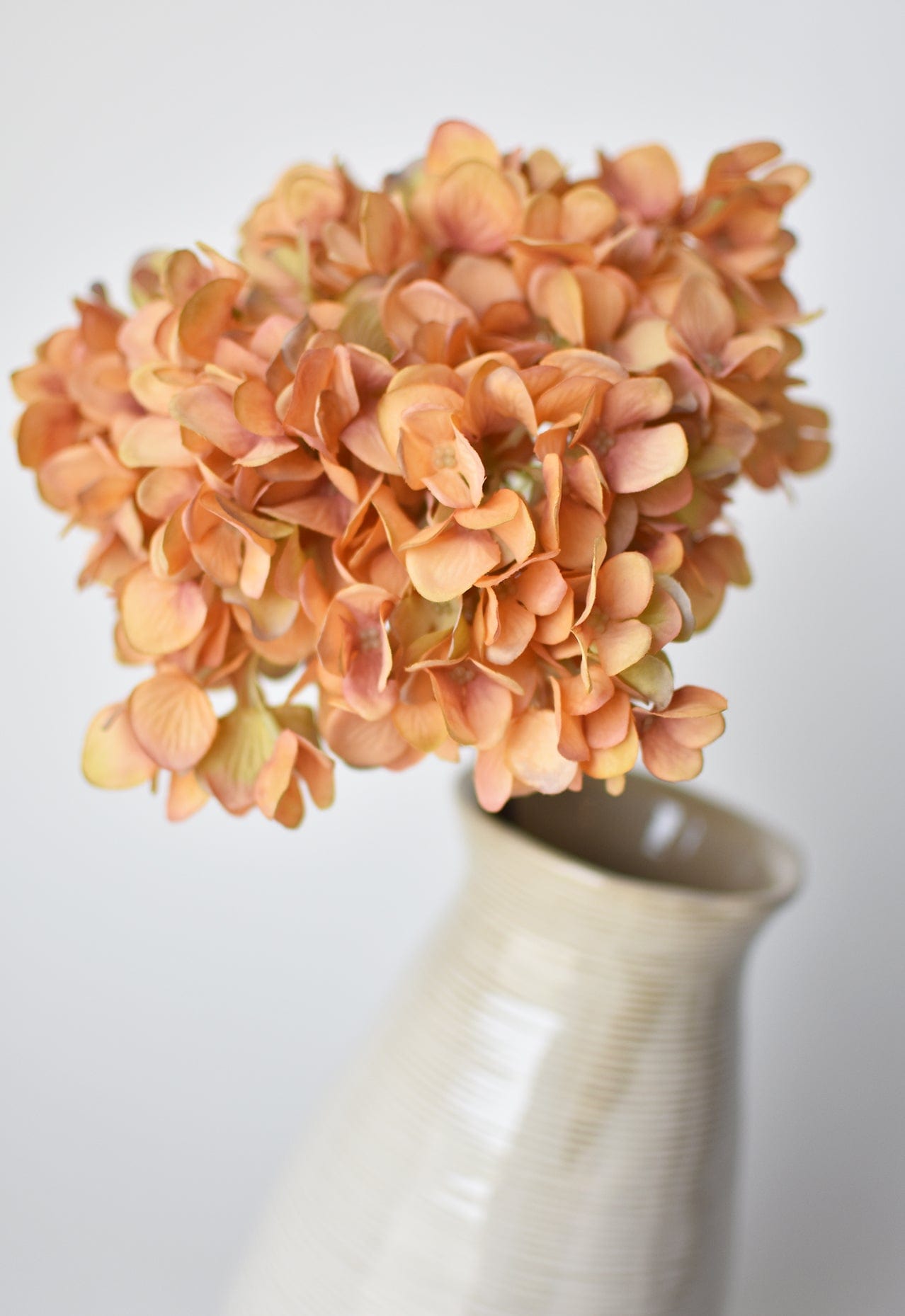 Hydrangea Stem, 27", Terracotta Orange