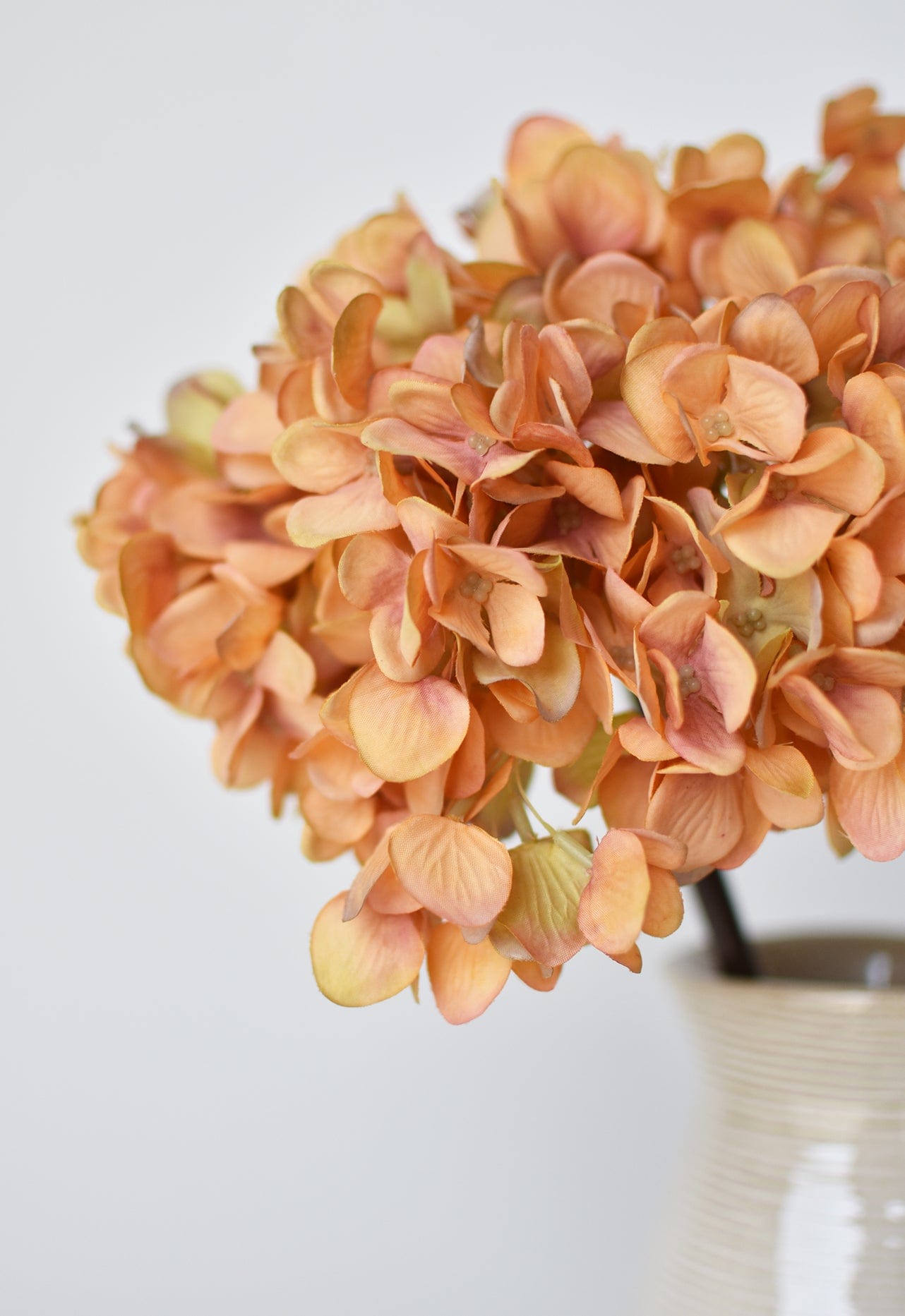 Hydrangea Stem, 27", Terracotta Orange