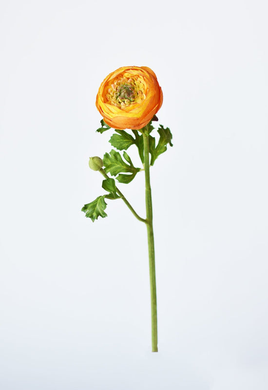 Ranunculus Stem, 13", Orange