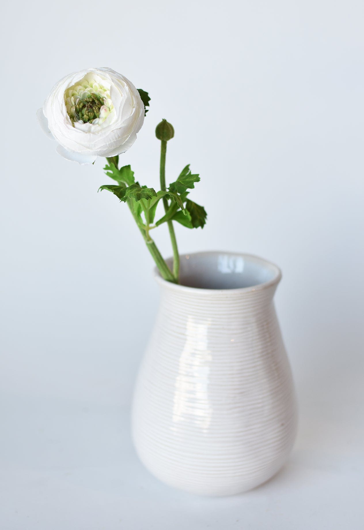 Ranunculus Stem, 13", White