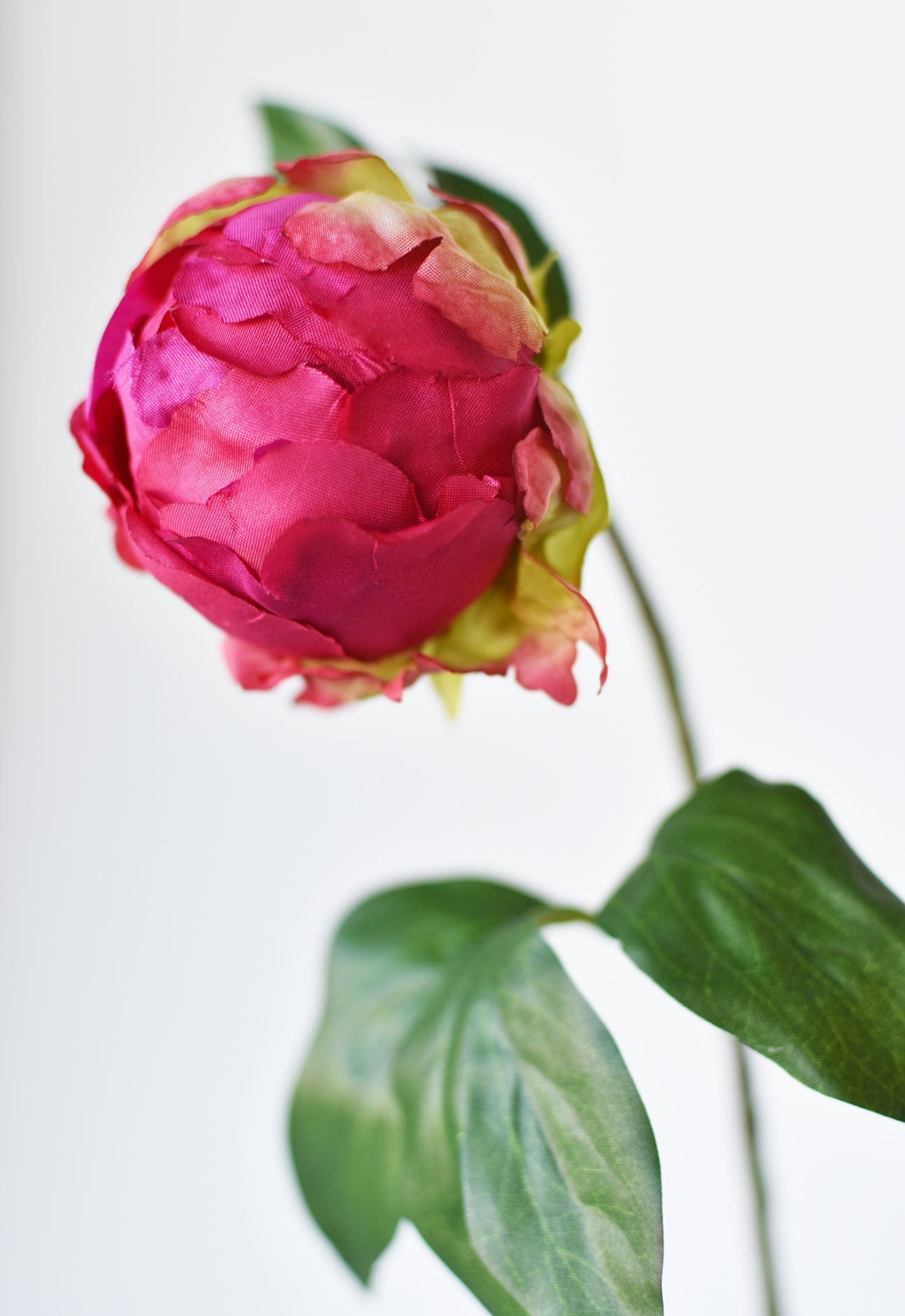 Peony Bud Stem, 18", Fuchsia