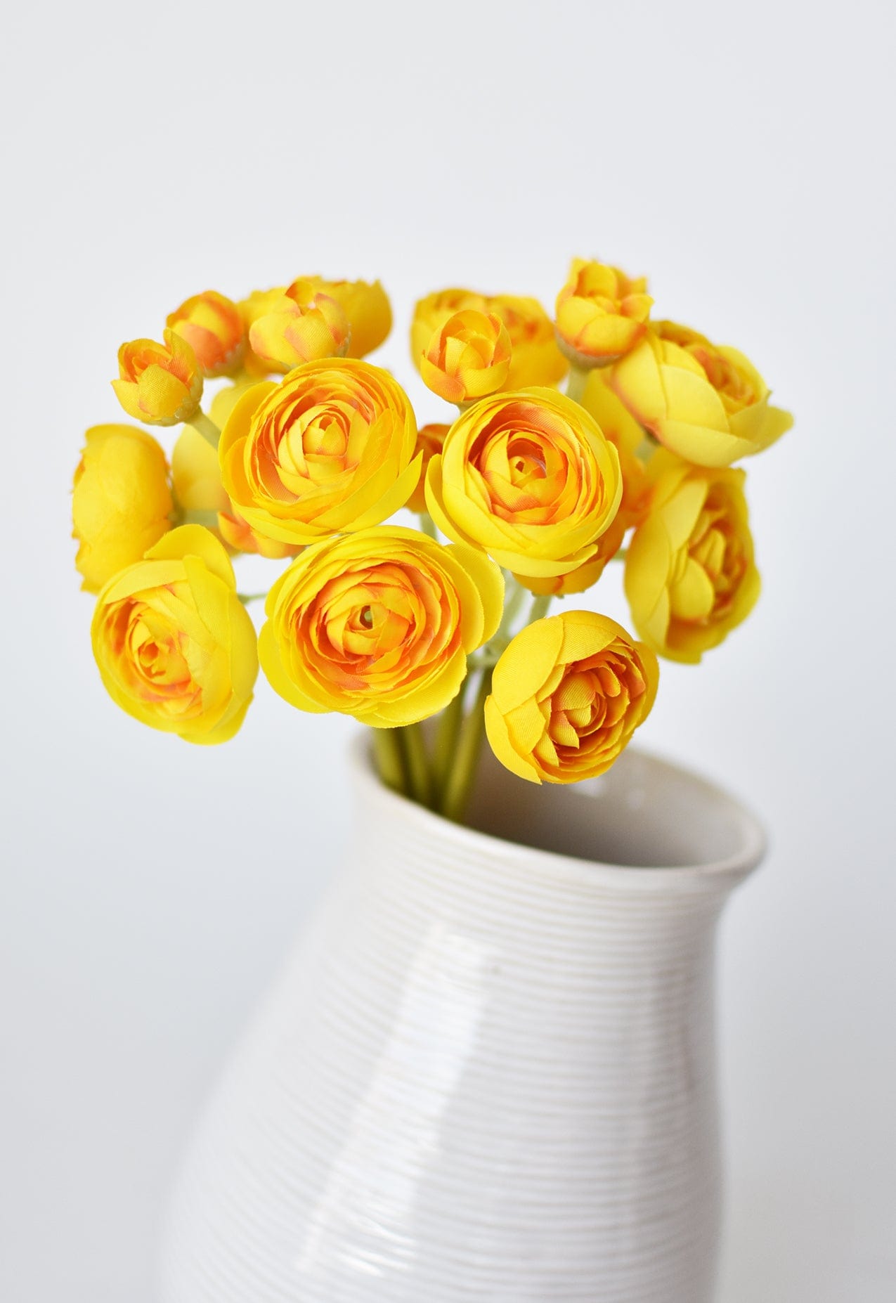 Ranunculus Stem Bundle, 10", Yellow