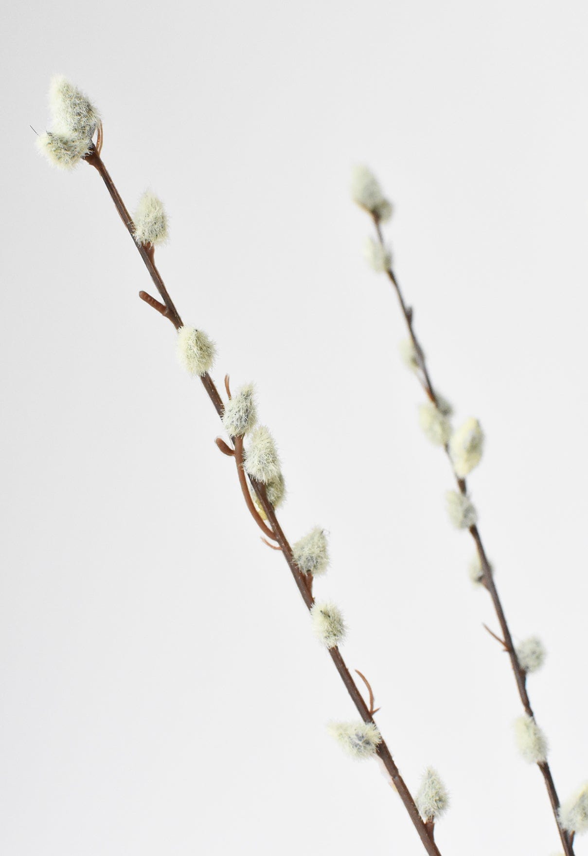 Pussy Willow Stem, 31"