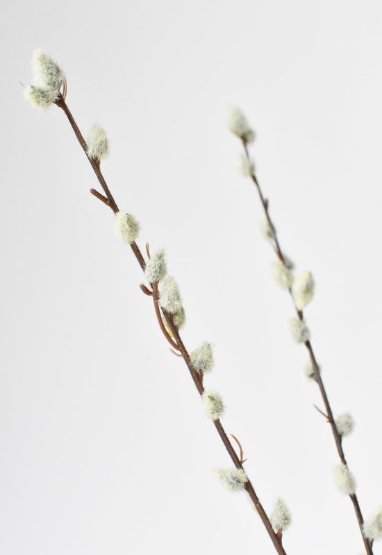 Pussy Willow Stem, 31"