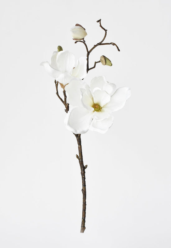 Magnolia Stem, 19", White