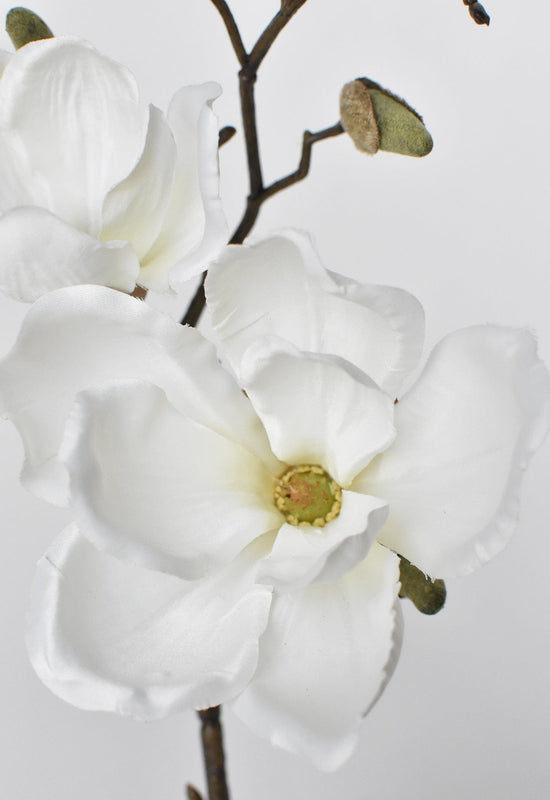 Magnolia Stem, 19", White