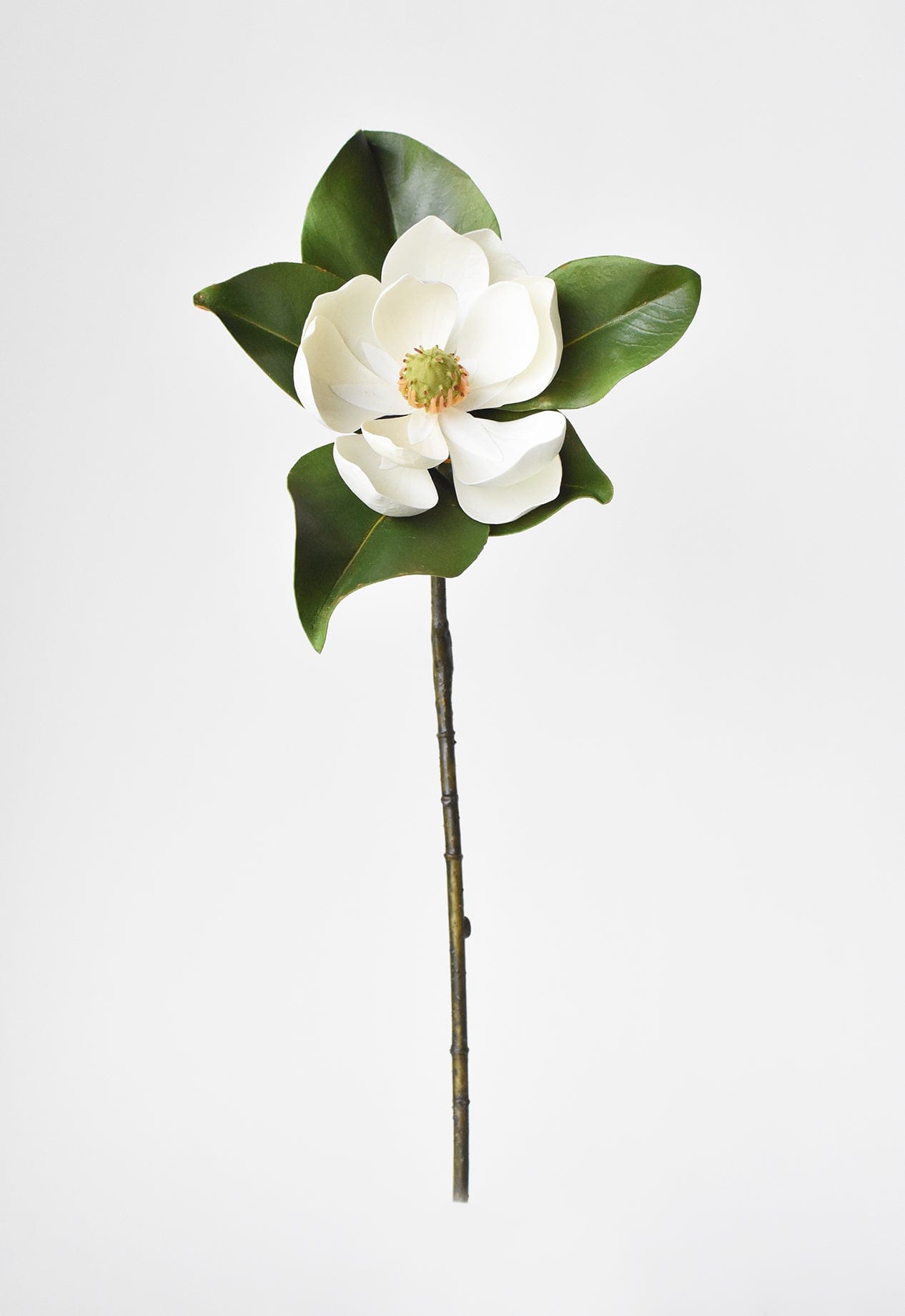 Magnolia Blossom Stem, 24", Real Touch