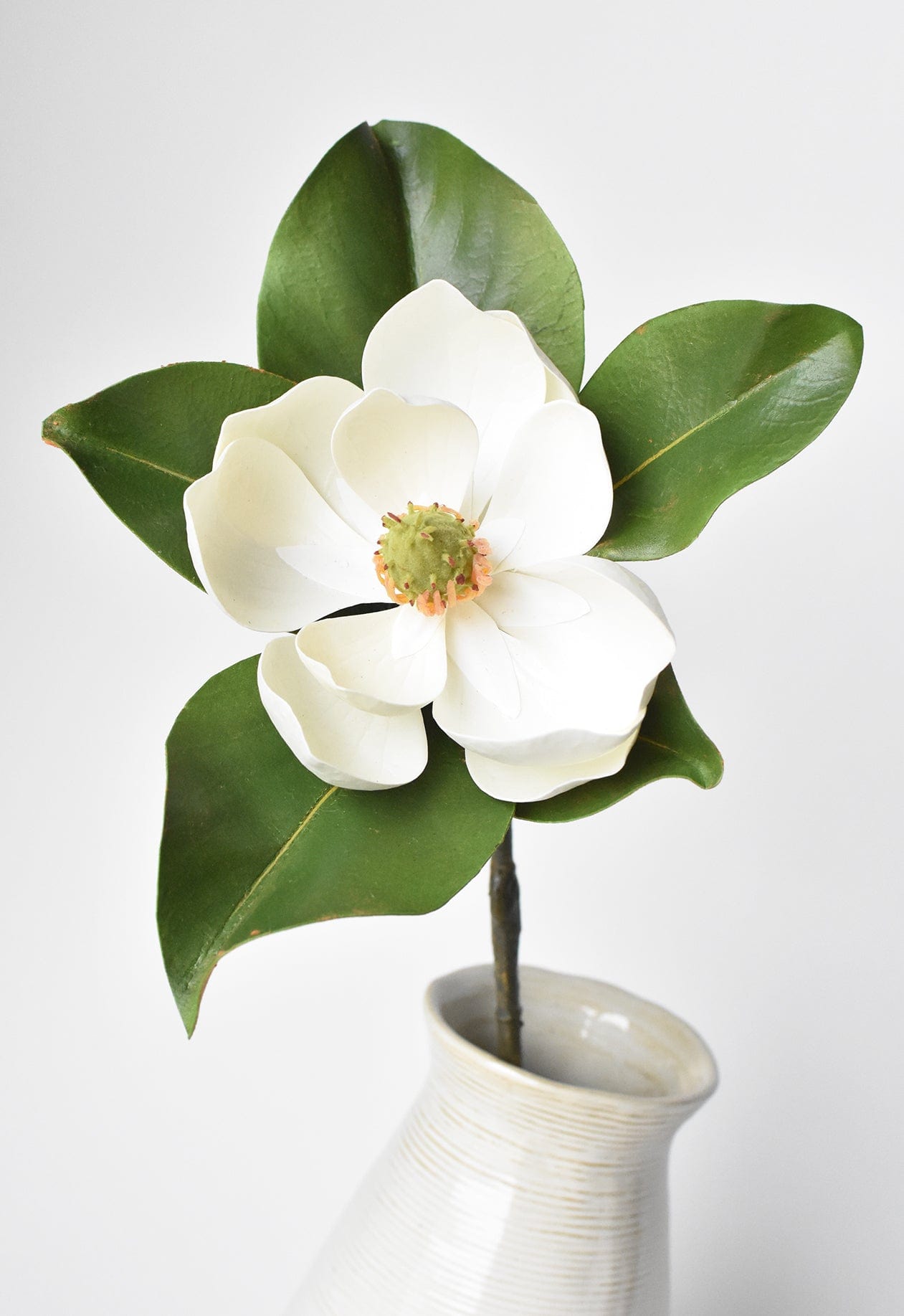 Magnolia Blossom Stem, 24", Real Touch