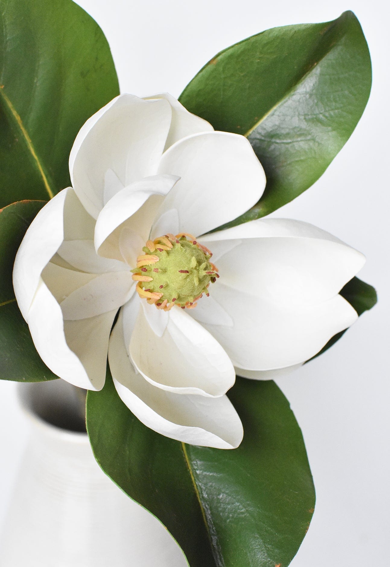 Magnolia Blossom Stem, 24", Real Touch