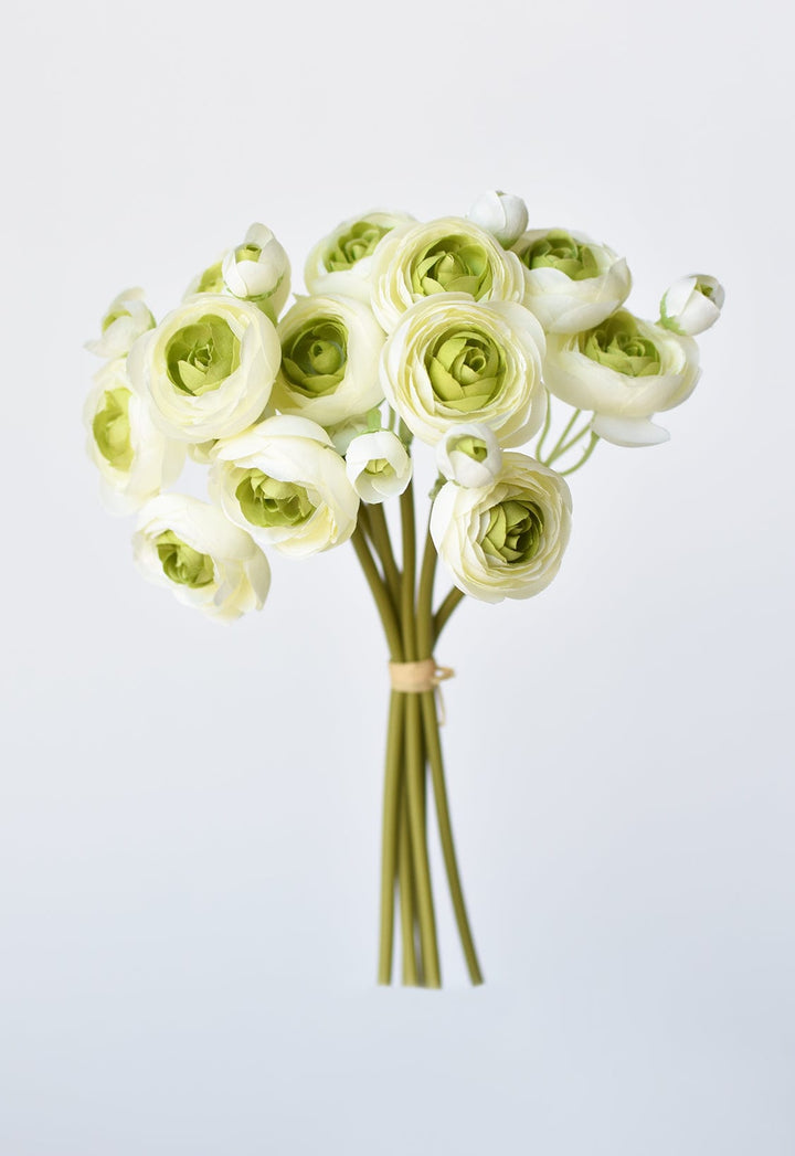 Ranunculus Stem Bundle, 10.5", White & Green