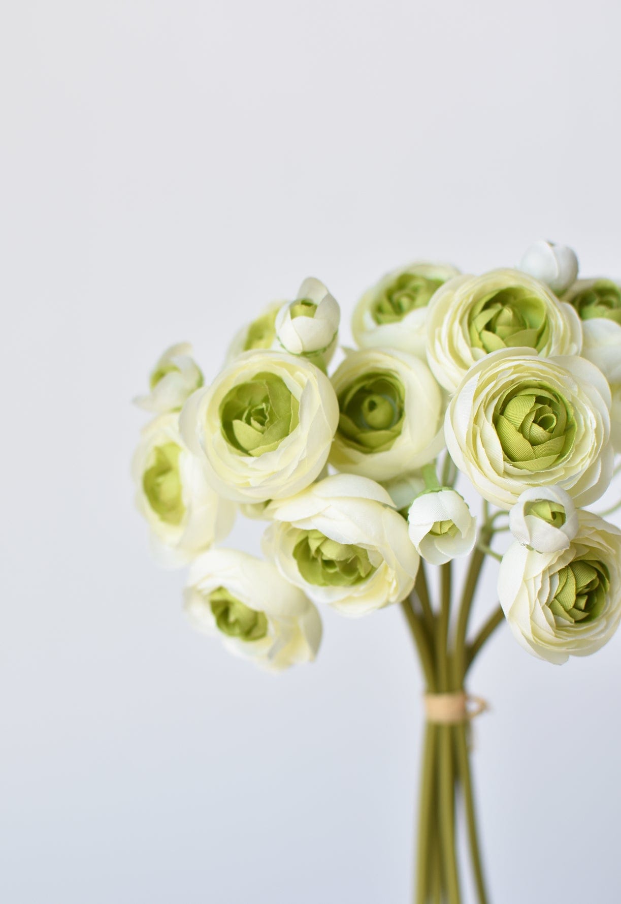 Ranunculus Stem Bundle, 10.5", White & Green