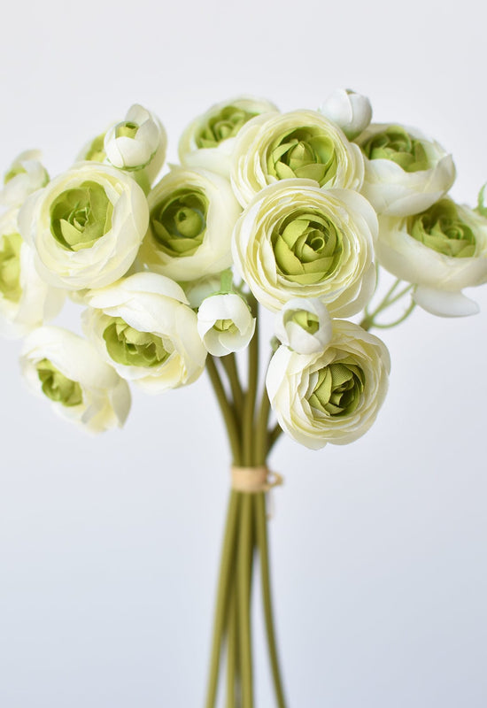 Ranunculus Stem Bundle, 10.5", White & Green