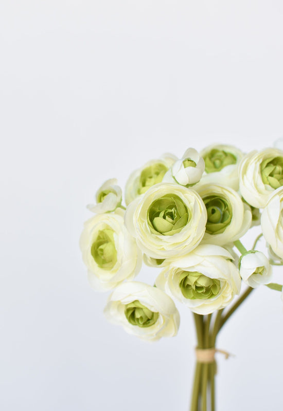 Ranunculus Stem Bundle, 10.5", White & Green