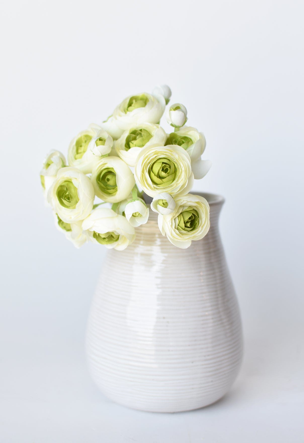 Ranunculus Stem Bundle, 10.5", White & Green