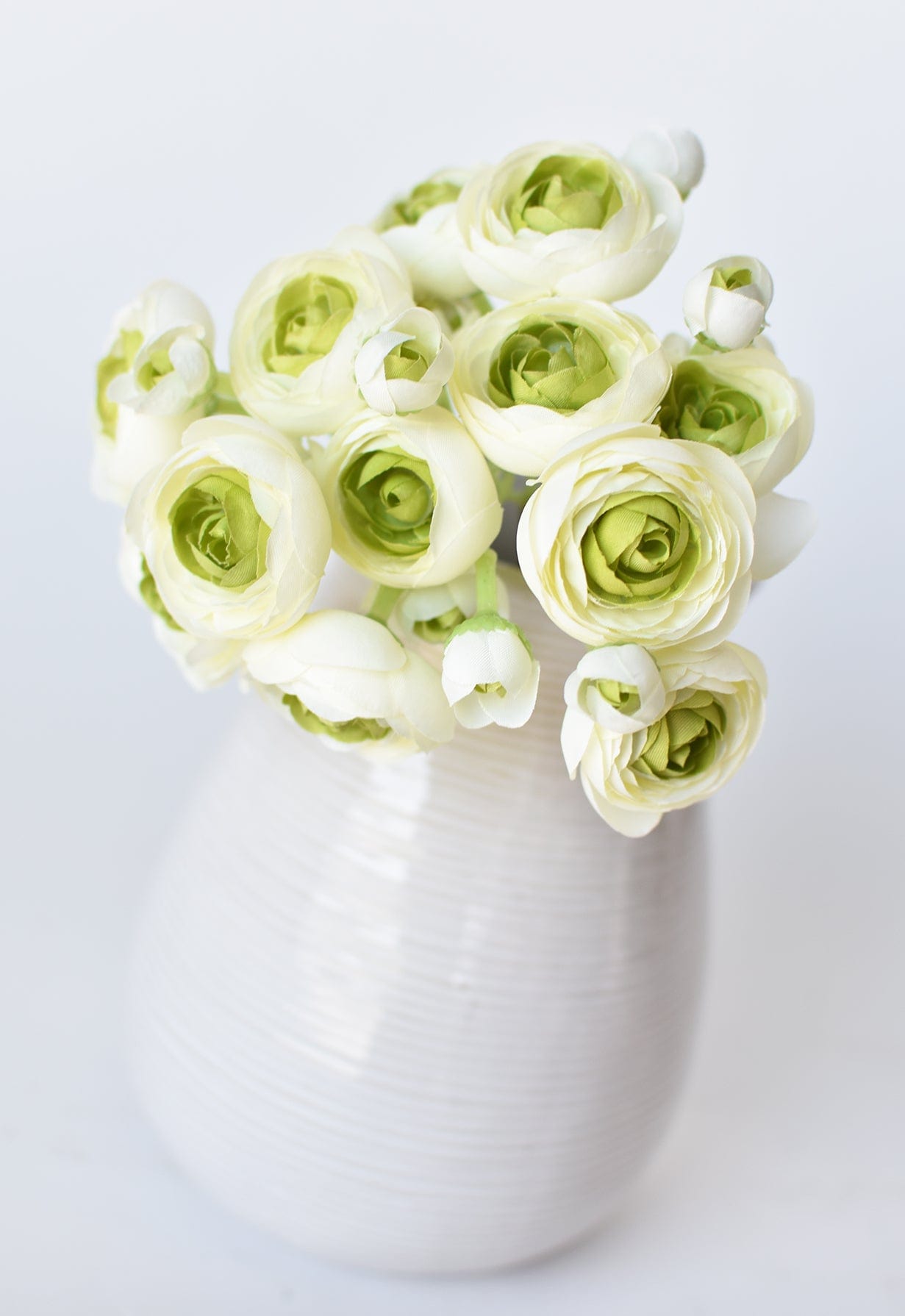 Ranunculus Stem Bundle, 10.5", White & Green