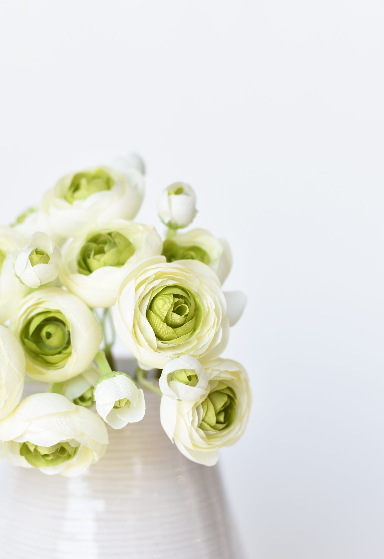 Ranunculus Stem Bundle, 10.5", White & Green