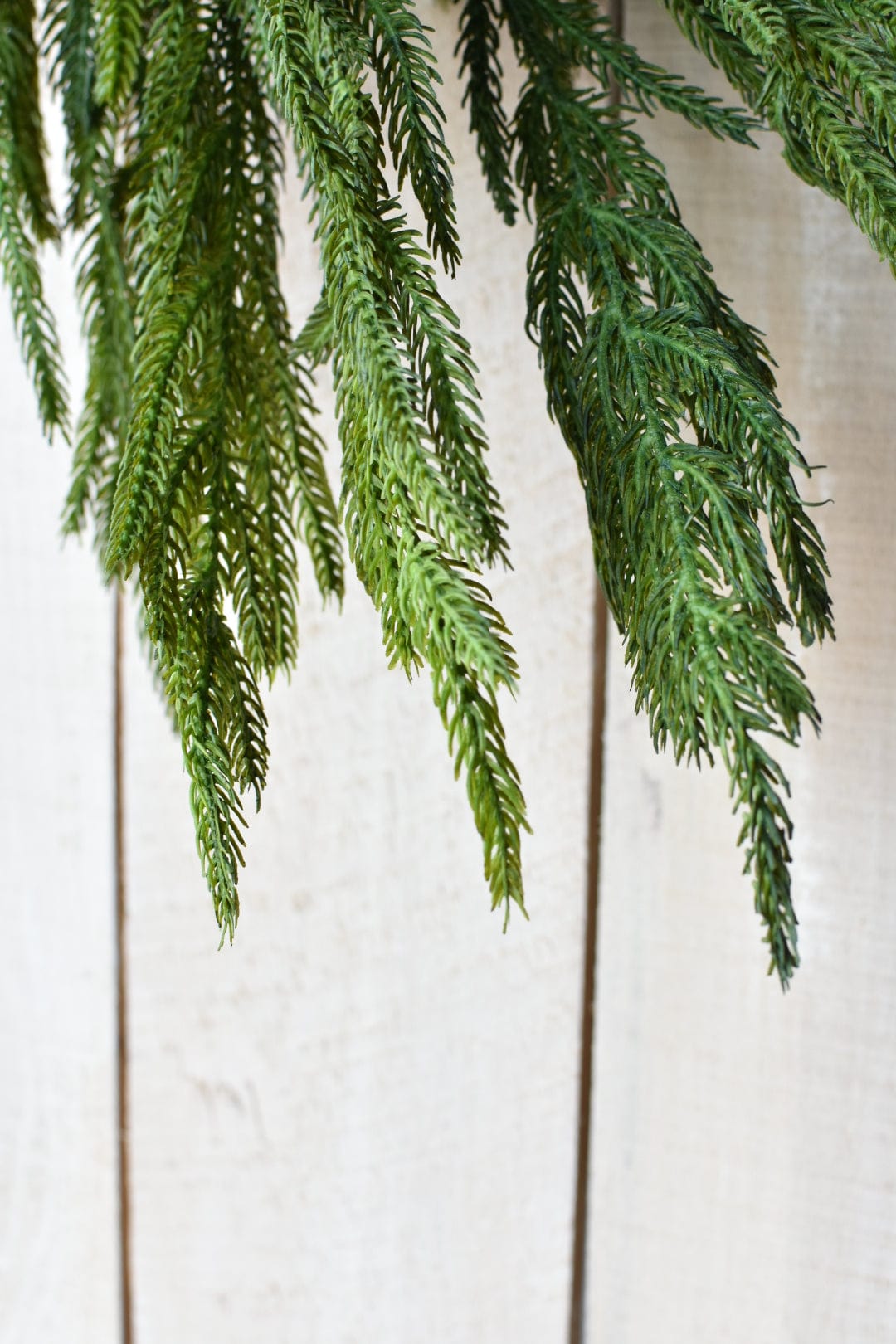 Norfolk Pine Garland, 60", Real Touch