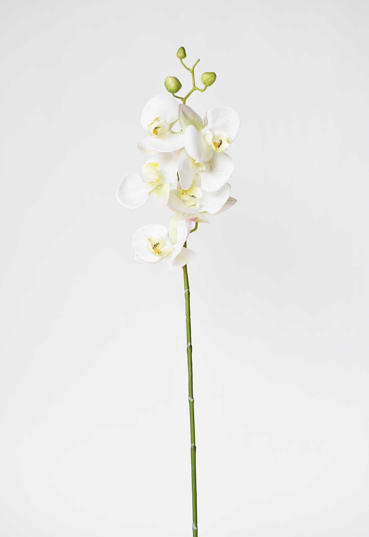 Orchid Stem, 30", White, Real Touch