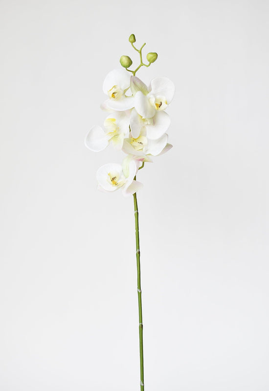 Orchid Stem, 30", White, Real Touch