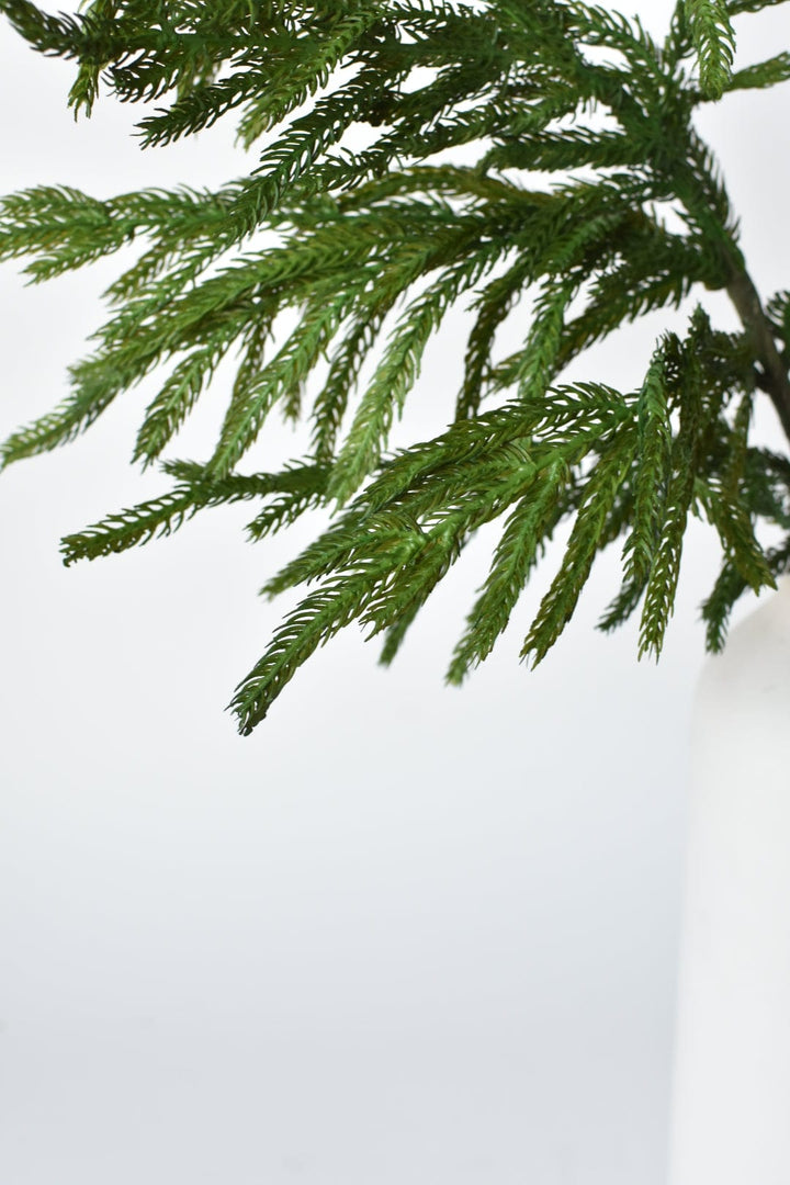 Norfolk Pine Spray, 36", Real Touch