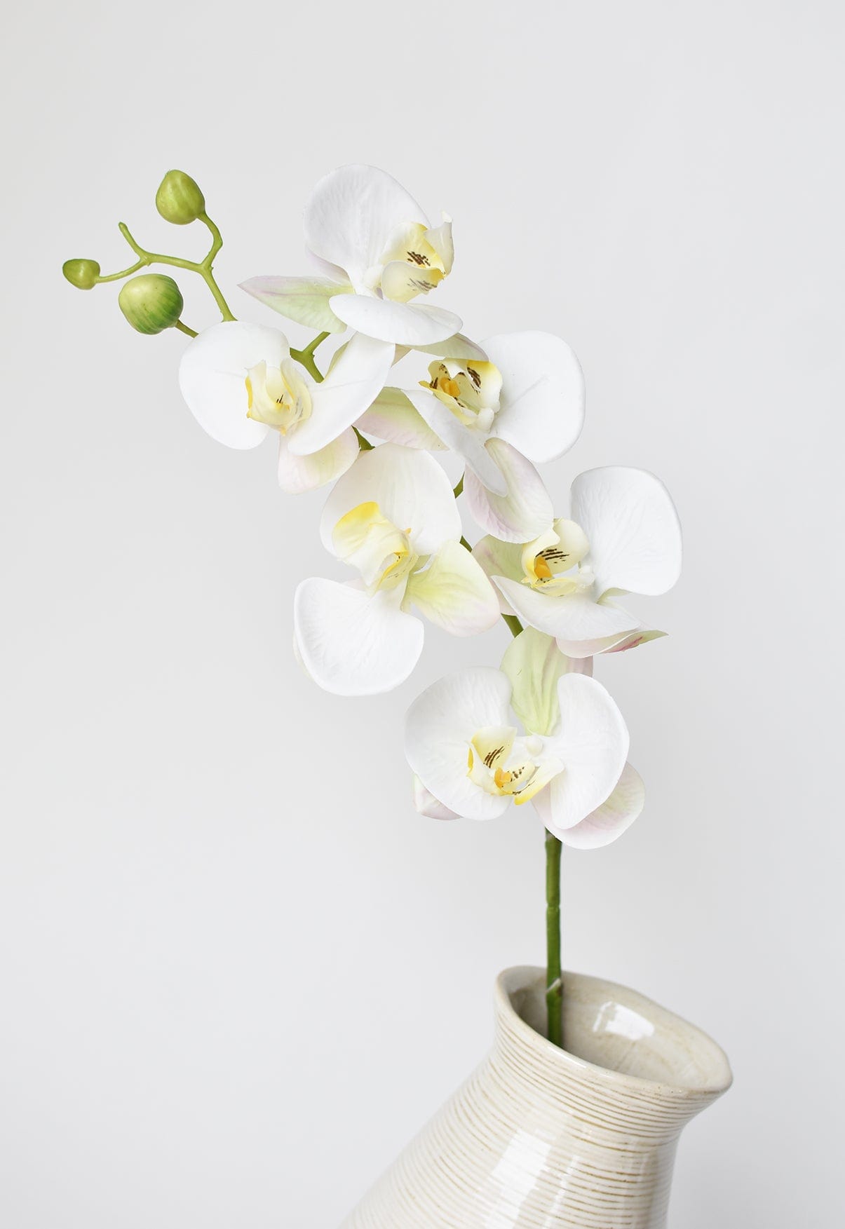 Orchid Stem, 30", White, Real Touch